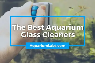 7 Best Aquarium Glass Cleaners & Algae Scrapers of 2022 – Aquarium Labs