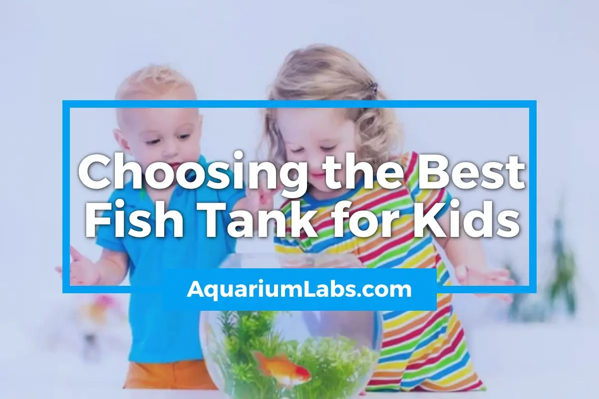 Choosing the Best Fish Tank for Kids - Featured Image