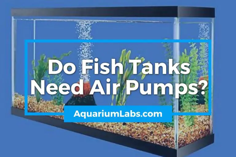 Do Fish Tanks Need Air Pumps? Aquarium Labs