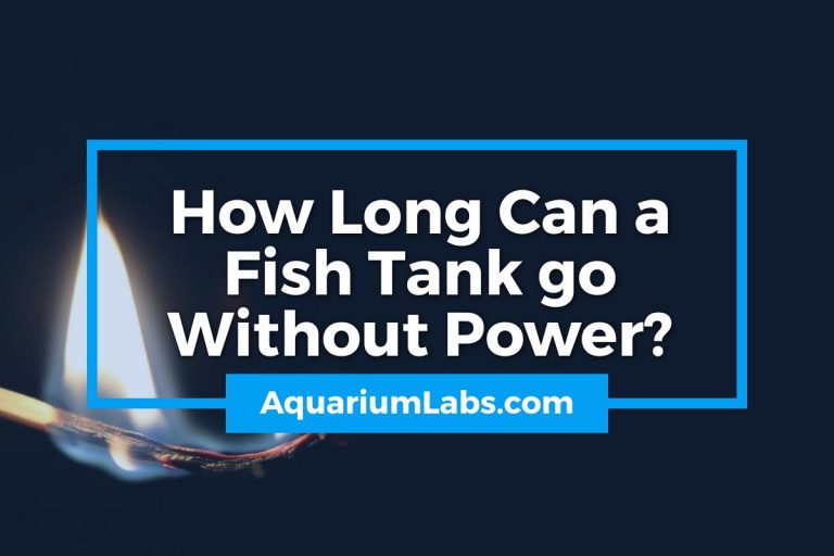 How Long Can a Fish Tank Go Without Power? Aquarium Labs