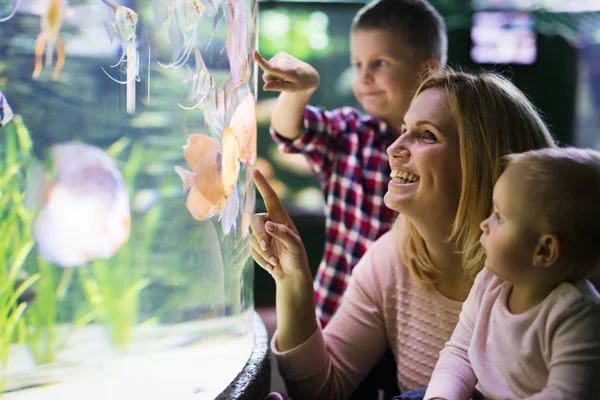 family looking at a fish within a large aquarium