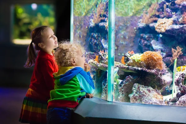 kids looking at a huge aquarium