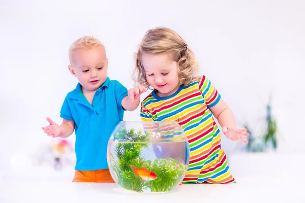 kids playing with an aquarium