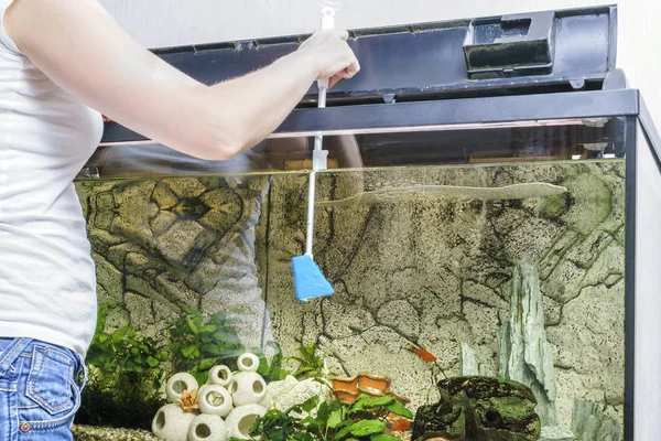 woman cleaning aquarium