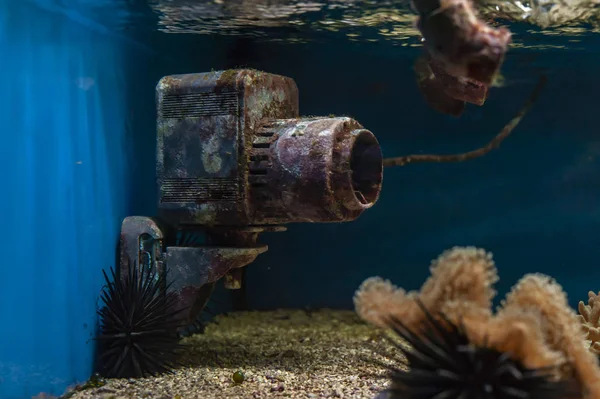 Rust equipment on aquarium