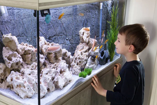 child watching an aquarium