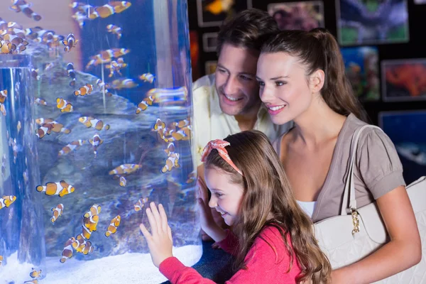 family looking happily on the aquarium