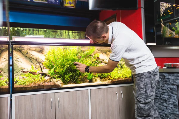 man cleaning outside the aquarium