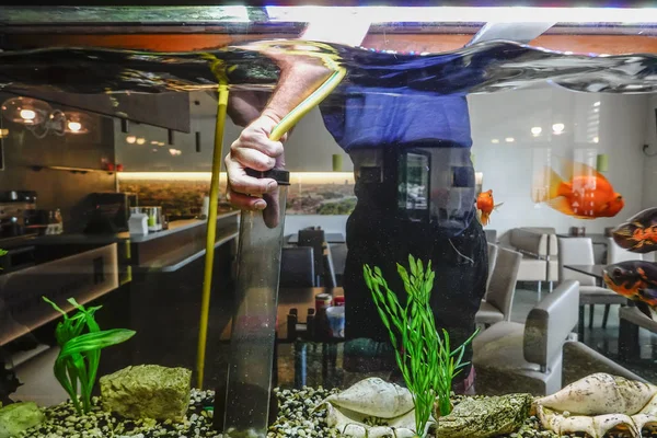 man vacuuming and cleaning the fish tank