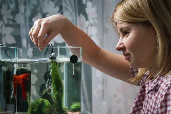 woman feeding beta fish