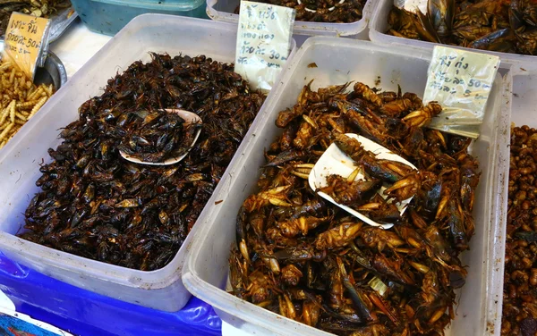 Fried insects on sale in the market