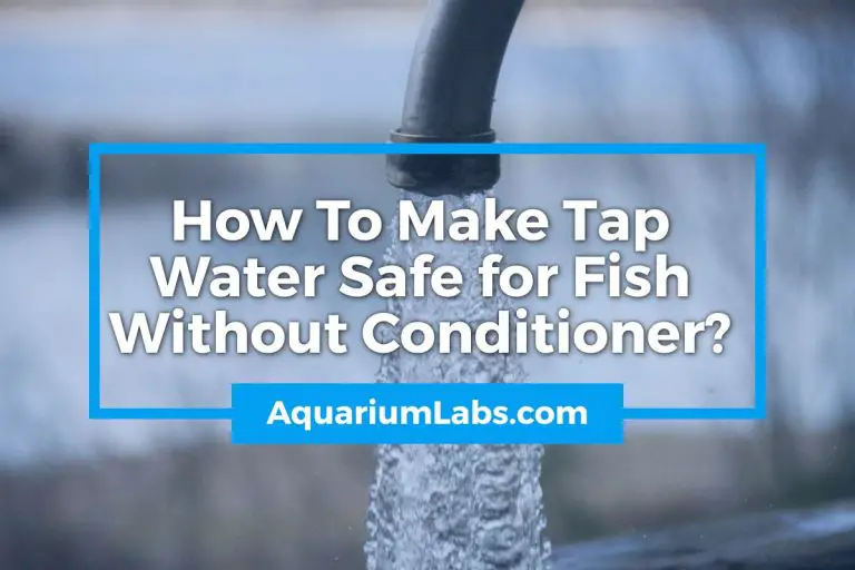 how-to-make-tap-water-safe-for-fish-without-conditioner