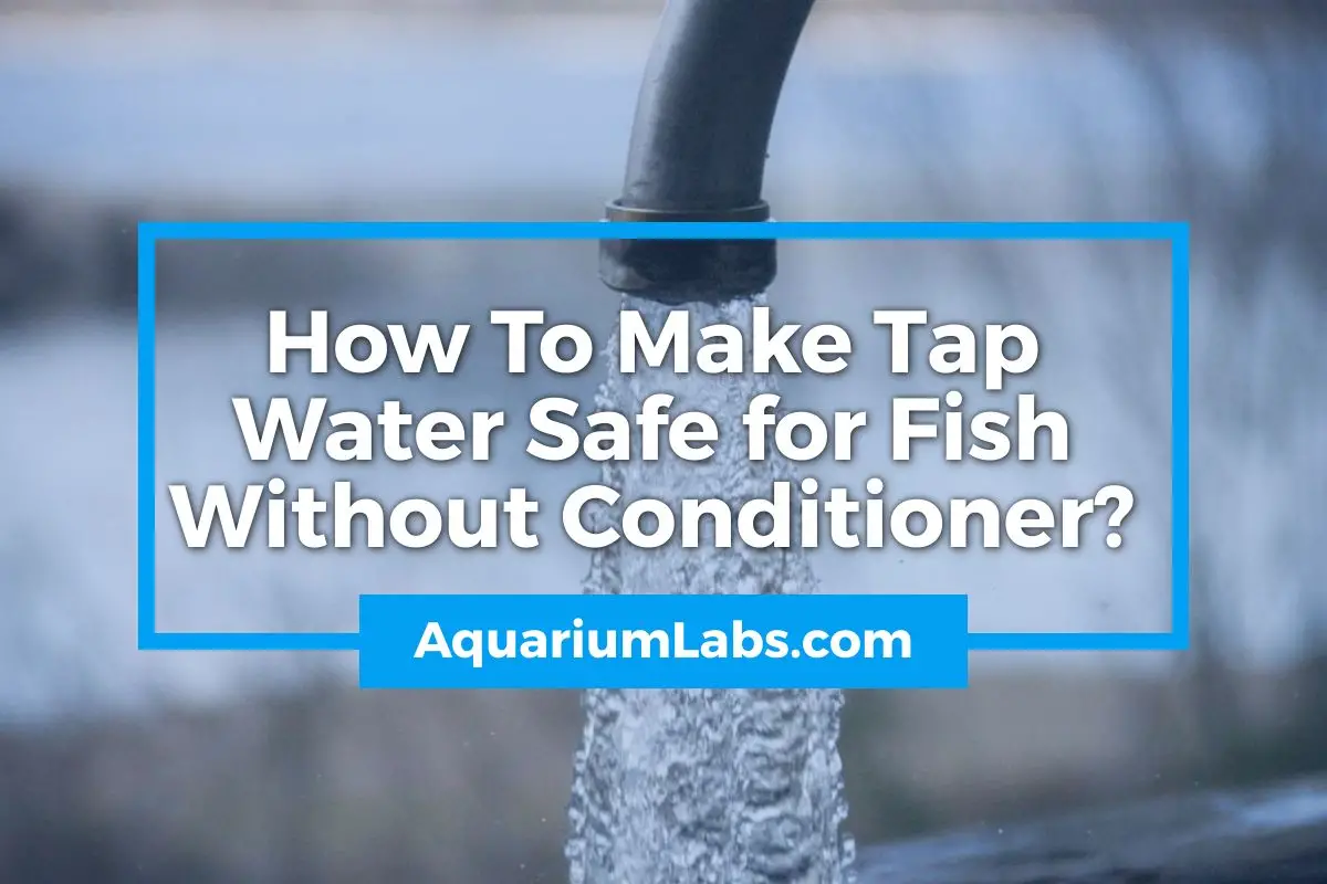 How To Make Tap Water Safe for Fish Without Conditioner - Featured Image