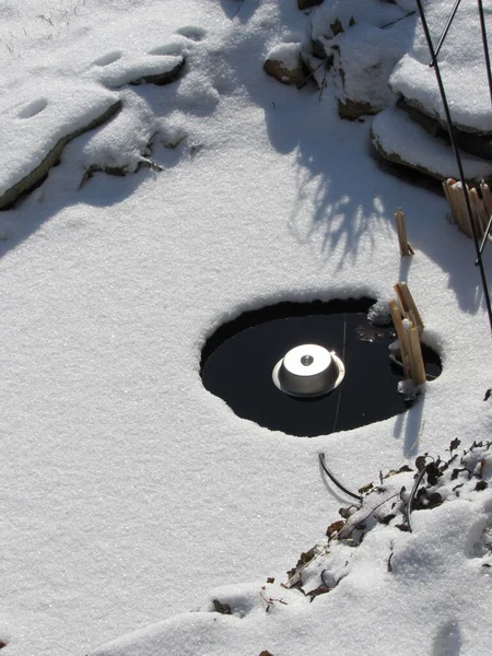 a man-made koi pond covered with ice