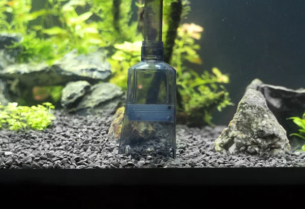 gravel cleaner tool in the aquarium