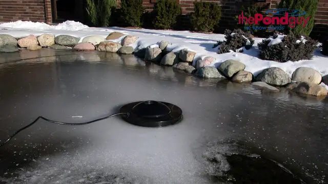  heater system for pond