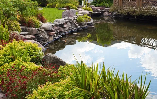 photo of a beautiful pond