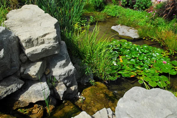 pond landscaping