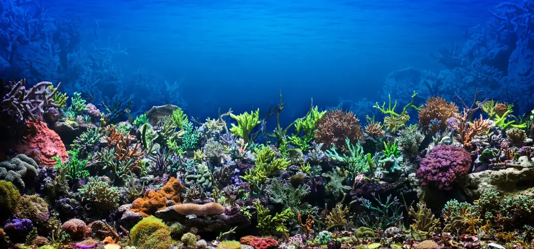 Aquarium Labs 2022 Header Background