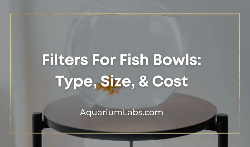 fish bowl filter