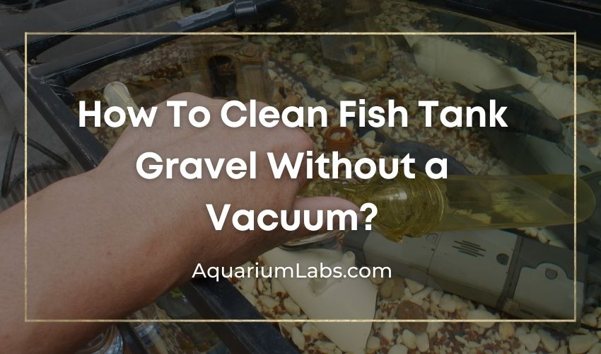 How To Clean Fish Tank Gravel Without a Vacuum - Featured Image