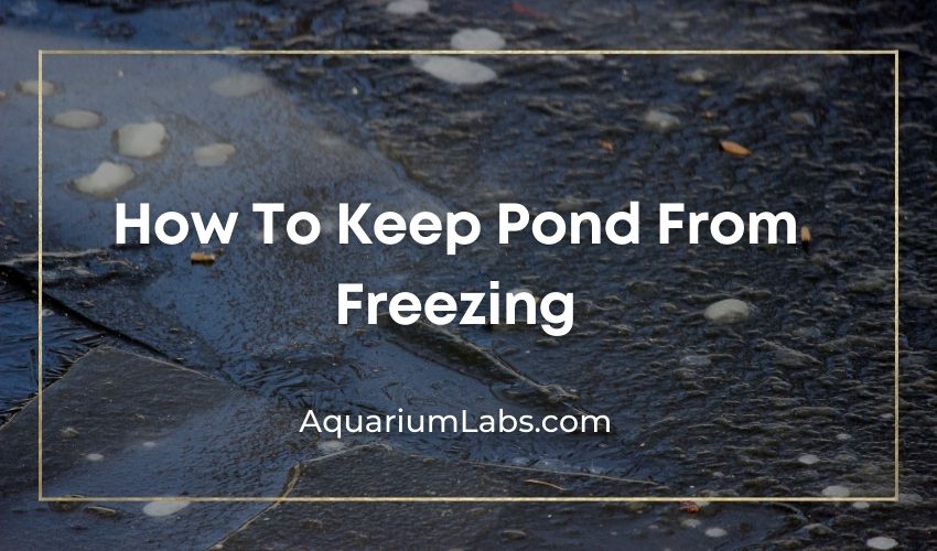 how to keep pond from freezing - blog image