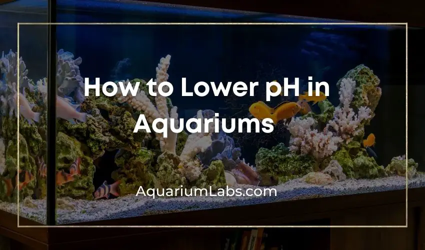 How to Lower pH in Aquariums - Featured Image V2