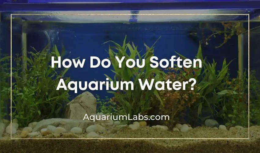 How To Soften Aquarium Water